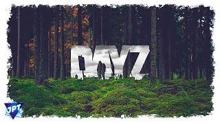 DayZ / СТРИМ №3/ PVE