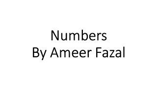 Numbers by Ameer Fazal