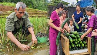 100 Days with my Grandfather Catching fish - Catching snails - Harvesting - Building a better life.