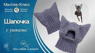 Шапочка с ушками для собак и кошек, DIY Hat for dogs and cats