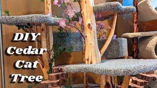 DIY Cedar Cat Tree For My Ragdoll Cats!