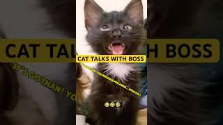 Cursing Cat - Mr.DragonLe #shorts #catlovers #trending