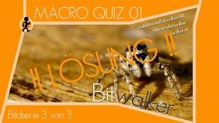 Macro Quiz #1 | Hinweise 3v3 + Lösung