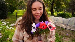 First Bouquet of the Season  Weekly Garden Vlog | What I'm Growing & Feeding the Garden