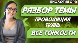 ОГЭ Биология 2022 | Четкое пособие для эффективной подготовки по теме: Проводящая ткань