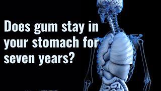 Does chewing gum stay in the stomach for 7 years