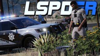 Arizona state trooper undertakes thieves - GTA 5 LSPDFR