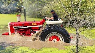 I have 60 days to make this Farmall not exist anymore.