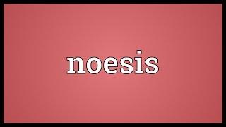 Noesis Meaning