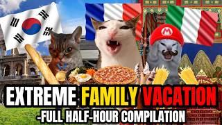 CAT MEMES: A FAMILY VACATION FULL MOVIE