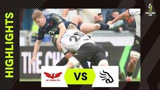 Extended Highlights – Scarlets v Black Lion Round 2 | EPCR Challenge Cup 2024/25