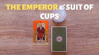THE EMPEROR & BỘ LY (SUIT OF CUPS) - Kết Hợp 2 Lá