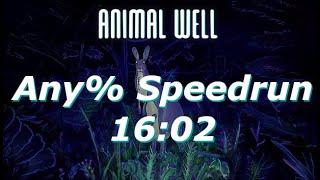 Animal Well Any% (NMG) Speedrun in 16:02