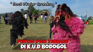 PENTAS PGM TERBARU DI KUD BODOGOL !!! KUDA LUMPING PUSAKA GALUR MANUNGGAL  RHP Channel