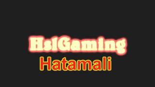 HsLGaming Intro