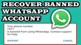 How To Recover Banned WhatsApp Account In 3 Hours - Appeal In 3 Minutes With Proof % In 2024