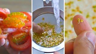 Easiest Way to Save Tomato Seeds