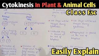 Cytokinesis In Plant And Animal Cells | Phragmoplast | Class 12 Biology