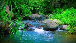 Relaxing River Sound Water Sound Ambient Music For Yoga For Meditation For Slepp For Stress