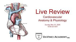 Live Review of Cardiovascular Anatomy & Physiology