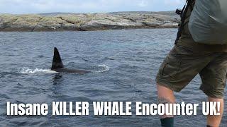 Insane KILLER WHALE Encounter UK!