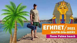 Египет в ноябре 2021 год. Шарм Эль Шейх. Обзор пляжа  Palma beach.