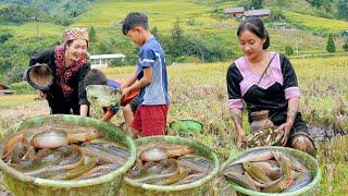 Bếp Trên Bản | Ái Mí và Yến cùng mấy đứa trẻ trong bản ra ruộng bắt cá chạch, nướng ăn tại suối