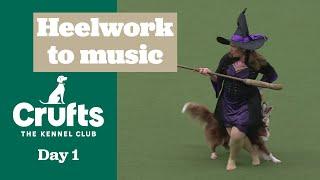 Heelwork to music competition Part One | Crufts 2025