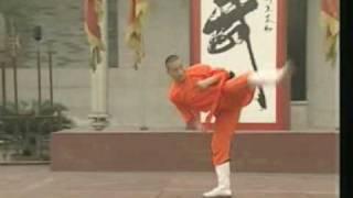 Shaolin Guan Dong Quan - Eastern Gate Boxing  少林关东拳