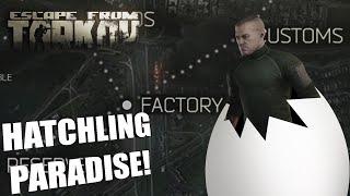 HATCHLING PARADISE | Escape From Tarkov