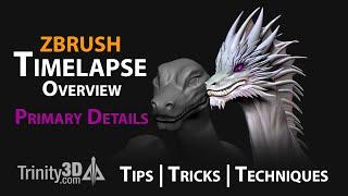 Dragon Timelapse Overview | Primary Details | Trinity3DTV