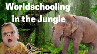 WORLDSCHOOLING day in the JUNGLE in PAI, THAILAND | ELEPHANTS, SNAKES & PAPAPYA