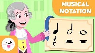 Musical Notation - Learning Music for Kids - The quarter note, the half note and the whole note