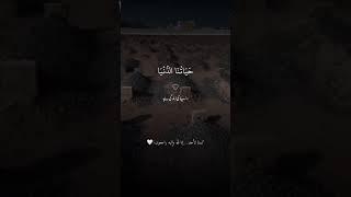 Surah Muminoon | Yasser Al Dossary | Quran #yasseraldosary