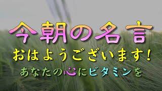 【毎朝７時投稿】おはようございます！今朝の名言です！ あなたの心に名言のビタミンをお届けします️#名言　#人生　#心　#朝　#今朝の名言