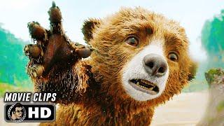 PADDINGTON IN PERU CLIP COMPILATION (2024) Movie CLIPS HD