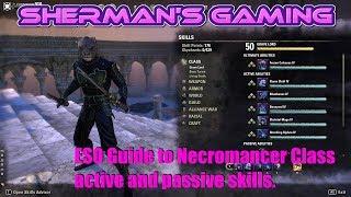 ESO Guide to Necromancer Class active and passive skills.