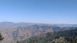 things to do in shimla | shimla tourist places | shimla girl | places to visit in shimla #shimla