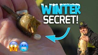 The SECRET winter hookbait! | Jamie Hughes Feeder Tip!