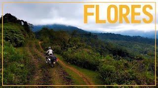 The direct route through Flores, Indonesia: RTW Ep19 