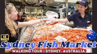 Seafood Paradise  Exploring Sydney Fish Market