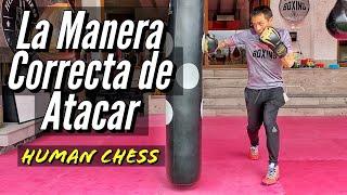 La Manera Correcta de Atacar en Boxeo