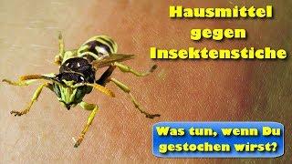 Hausmittel gegen Insektenstiche – Was tun, wenn Du gestochen wirst