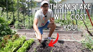 Most Gardeners Get THIS Wrong About Their SOIL