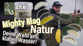 Truttenquote maximieren bei klarem Wasser & Sonne mit Mighty Mag Naturmix Ultra Light Angeln