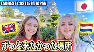 The Largest Castle in Japan?! *Himeji Castle – World Heritage Site* |「姫路城」
