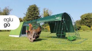 Chicken Coop Tour - Eglu Go | Omlet Pet Products