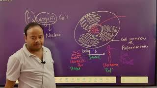 Central Dogma#VVI#Most Important#Viral neet Concept #Shamimneet