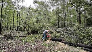 Все Намного Хуже чем мы Ожидали! Последствия Урагана Hurricane Helene.