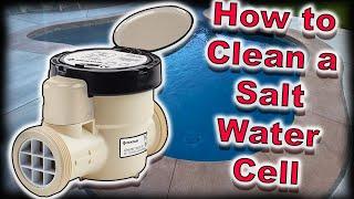 How To EASILY Clean A Salt Cell Chlorinator - Salt Water Generator Service